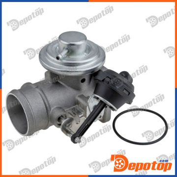 Vanne EGR pour VW | 98304, EG10558-12B1